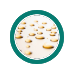 Vitamine c liposomale