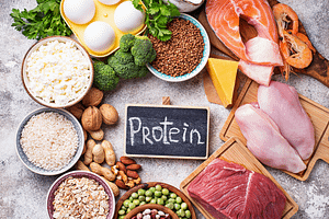 Why are proteins essential to our bodies?