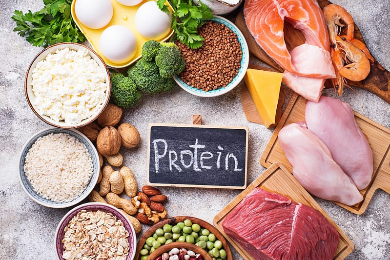 Why are proteins essential to our bodies?