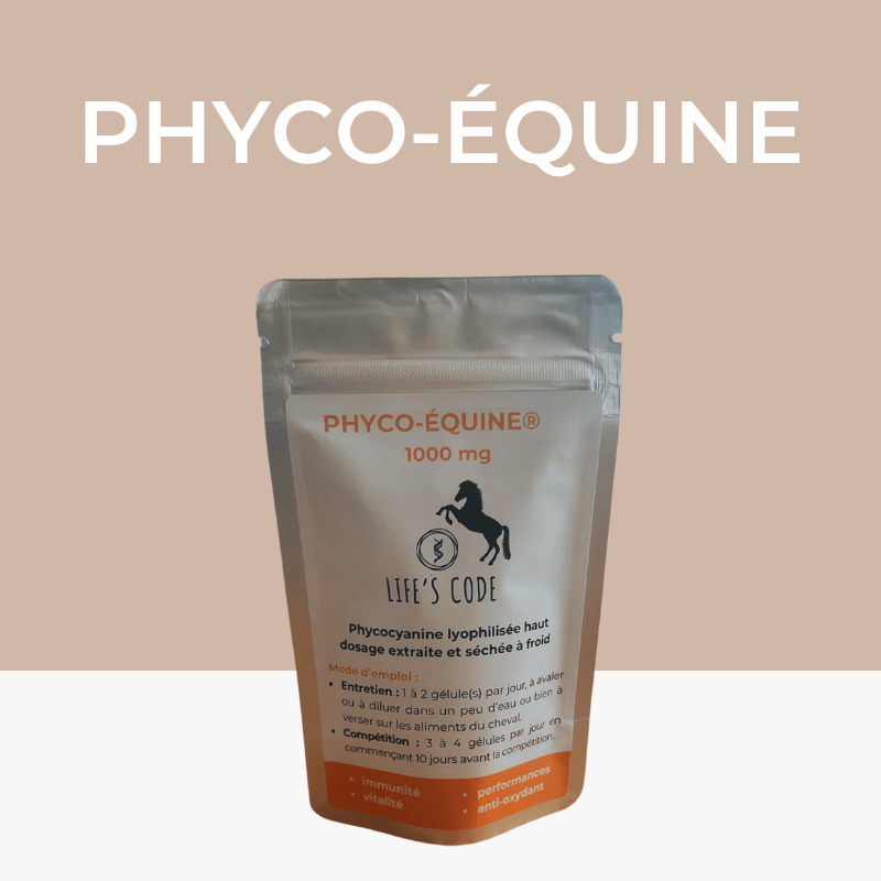 Phyco-Equine 200 capsules