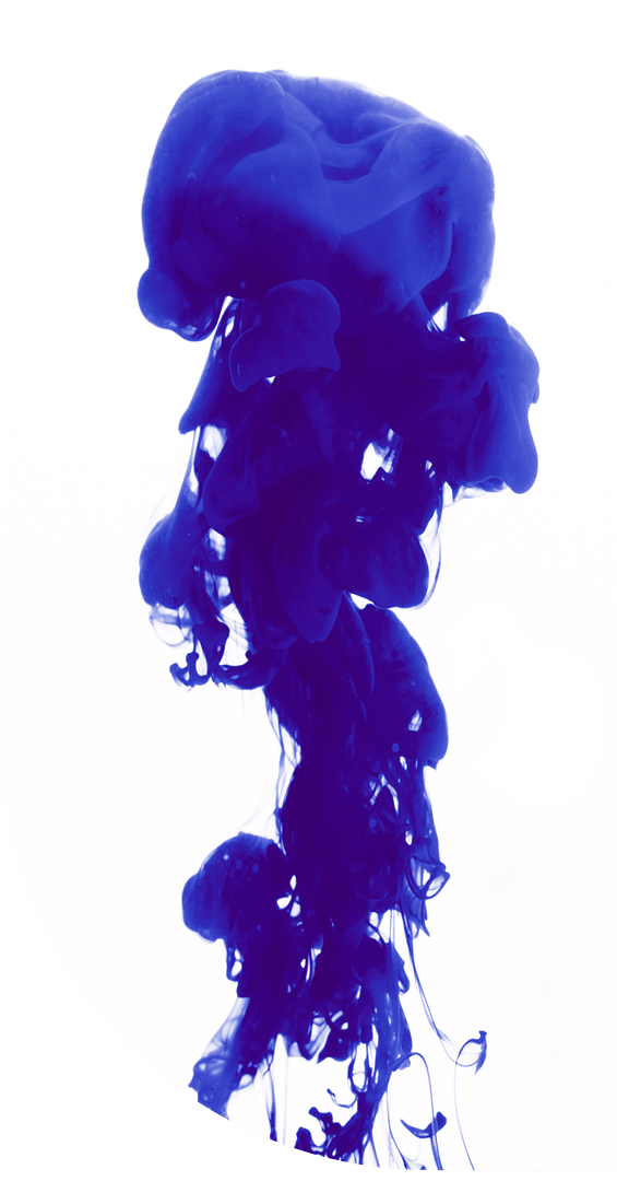 Rectangle 146 e1722602009791