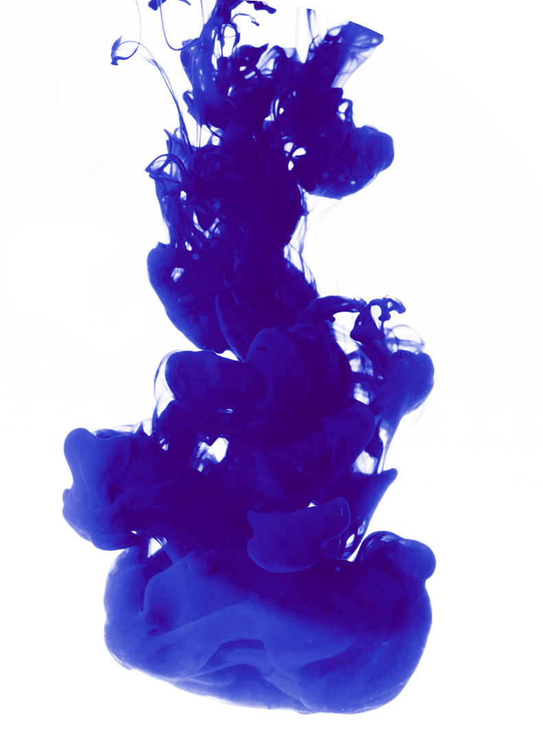 Rectangle 145 e1725432730889